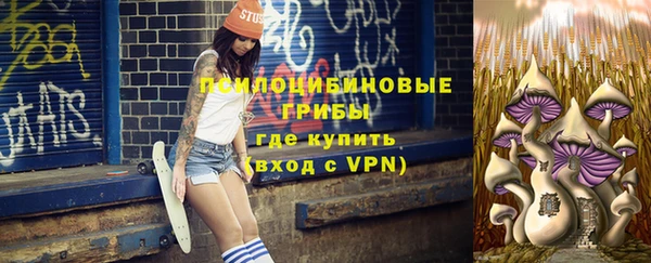 мет Осинники