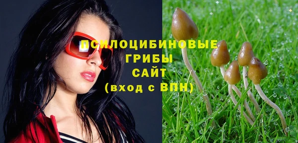 jwh Няндома