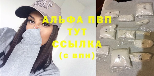 молекула духа Всеволожск
