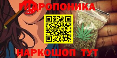 дживик Аргун
