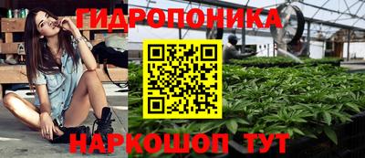 прущие крисы Апшеронск