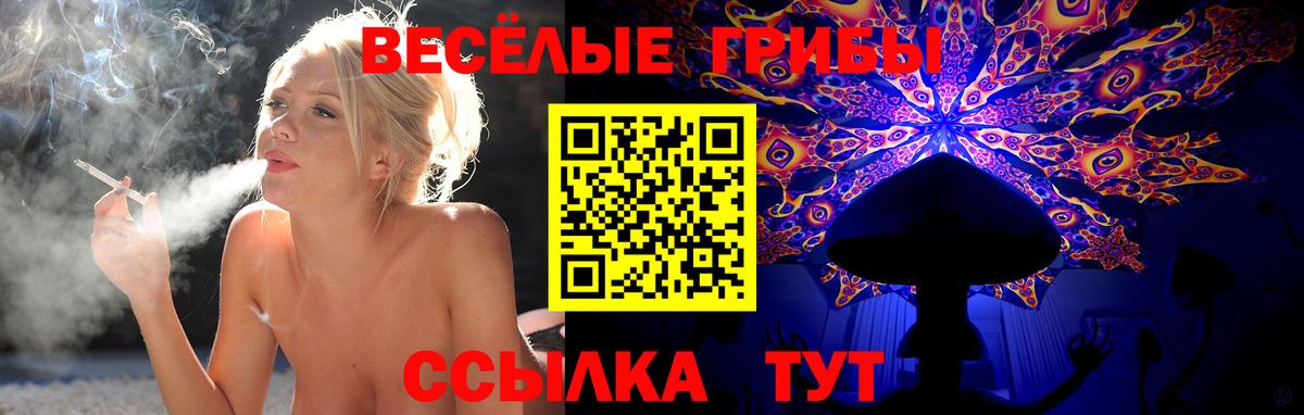 Псилоцибиновые грибы Cubensis Асбест