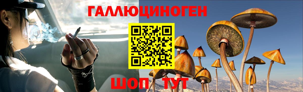 Галлюциногенные грибы MAGIC MUSHROOMS  Асбест  Галлюциногенные грибы прущие грибы 